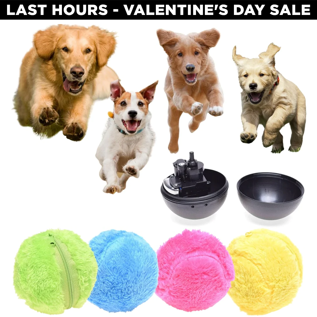 Pet deals toy sale